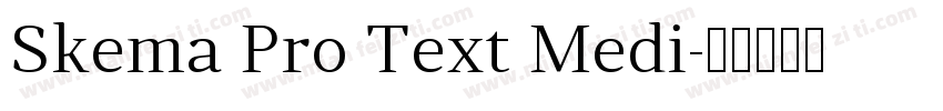 Skema Pro Text Medi字体转换